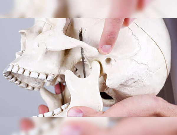 bone grafts